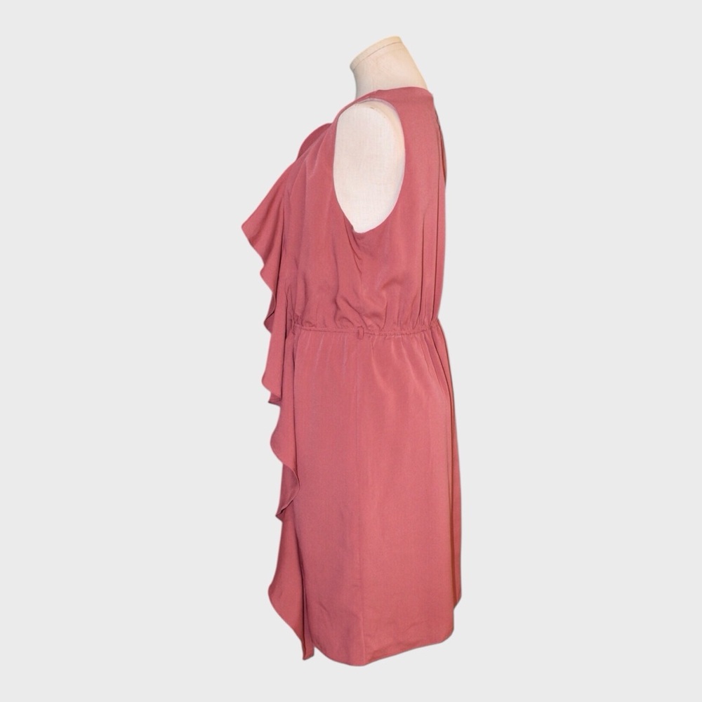 Zara Sleeveless Ruffle Front Dress - Picture 4 of 8